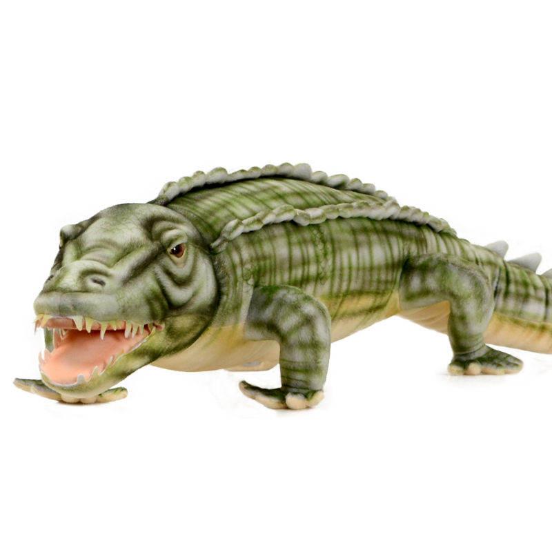 ǰ 