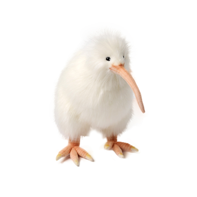 ǰ 