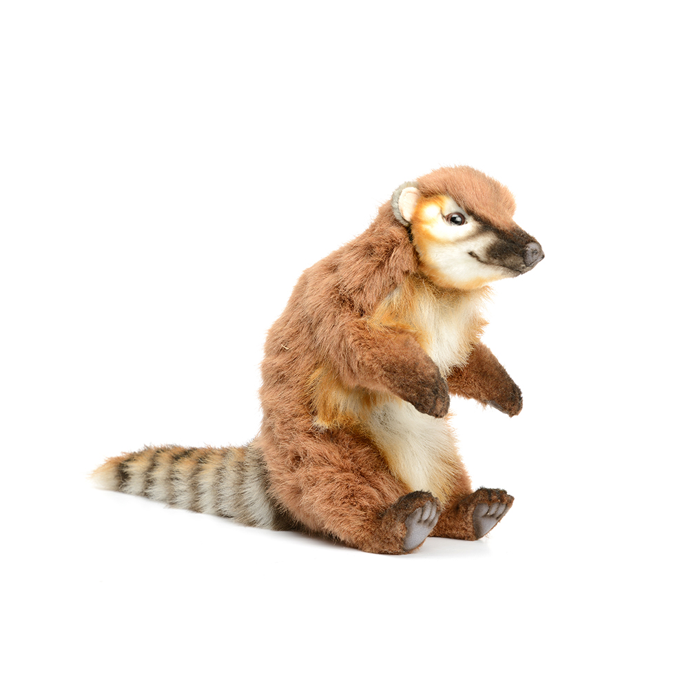 ǰ 