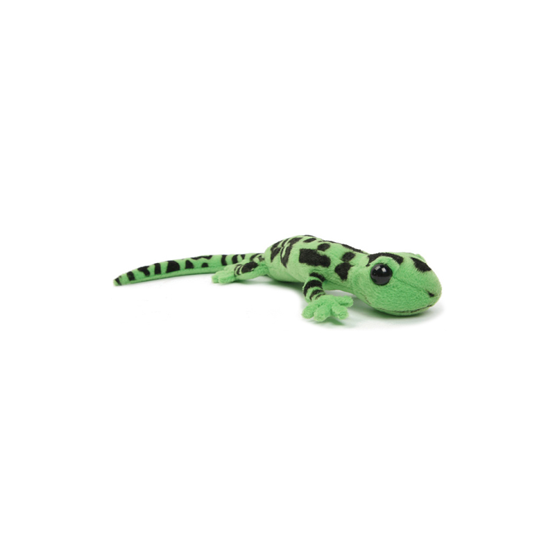 ǰ 