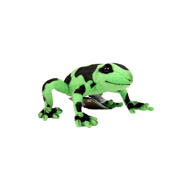 ǰ 