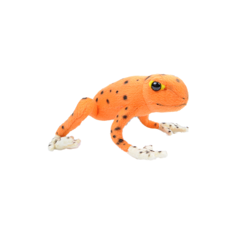 ǰ 