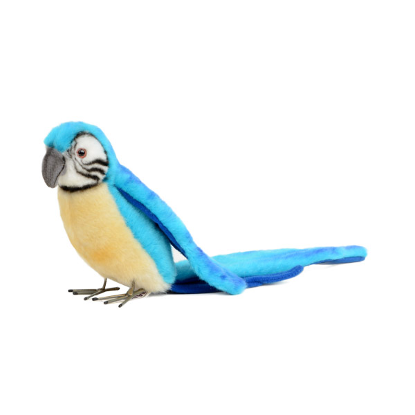 ǰ 