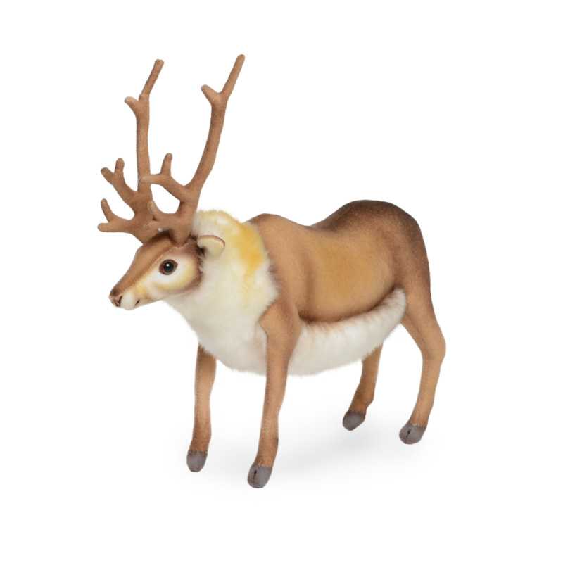 ǰ 