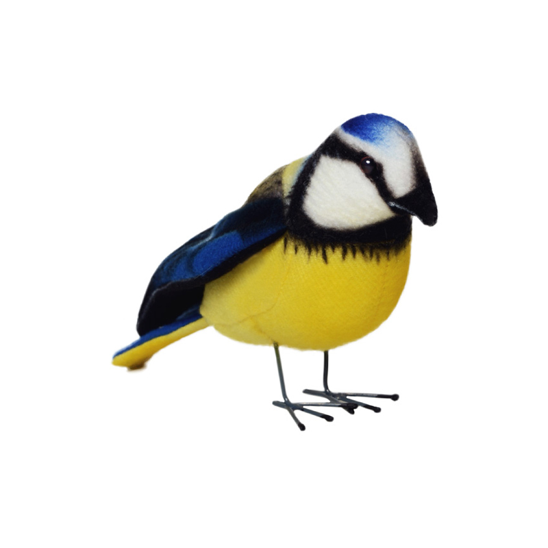 ǰ 