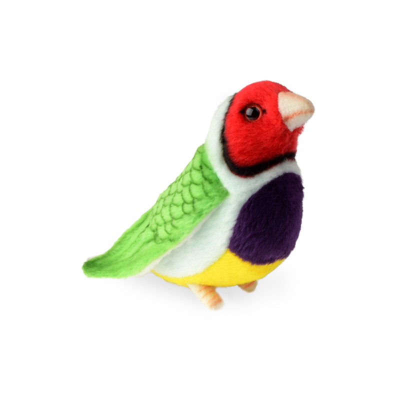 ǰ 