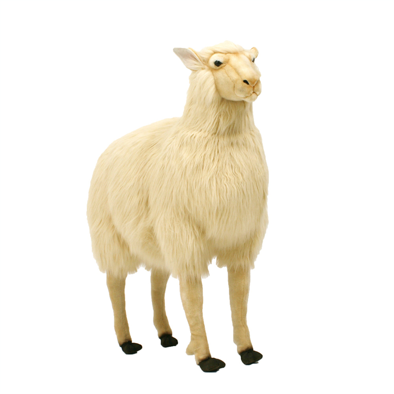 ǰ 