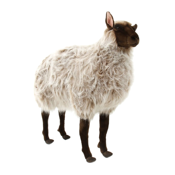 ǰ 