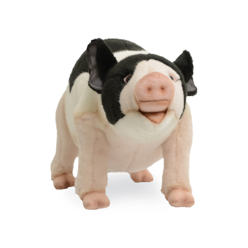 ǰ 