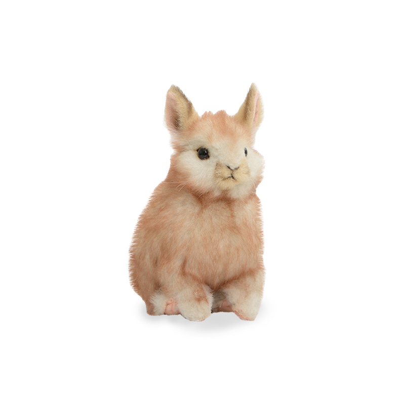 ǰ 