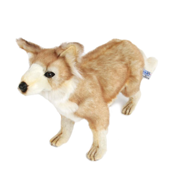 ǰ 