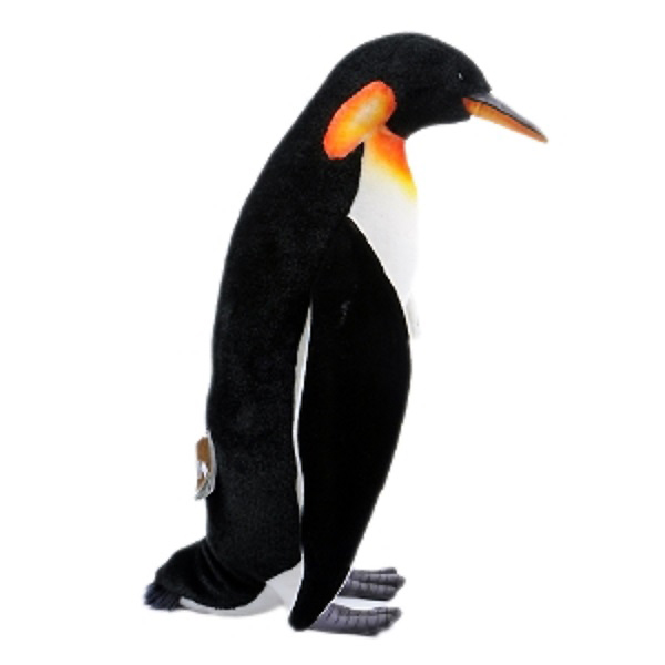 ǰ 