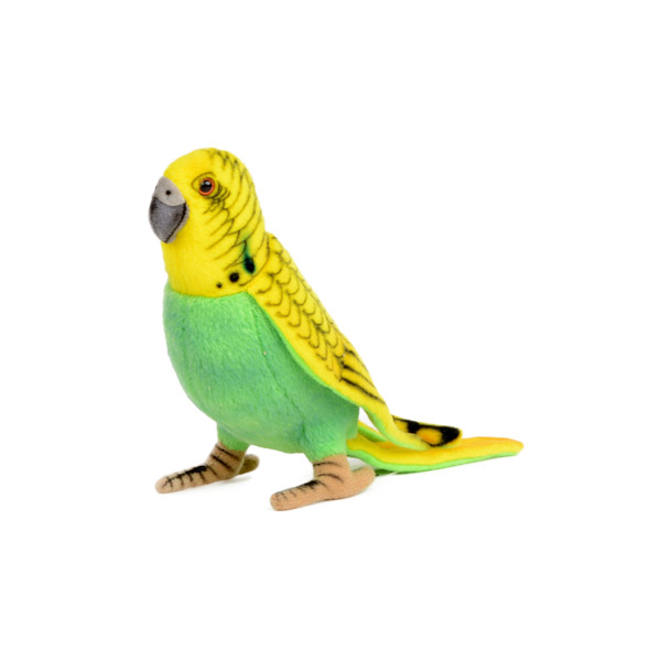 ǰ 