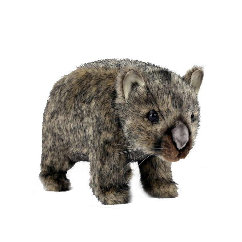 ǰ 
