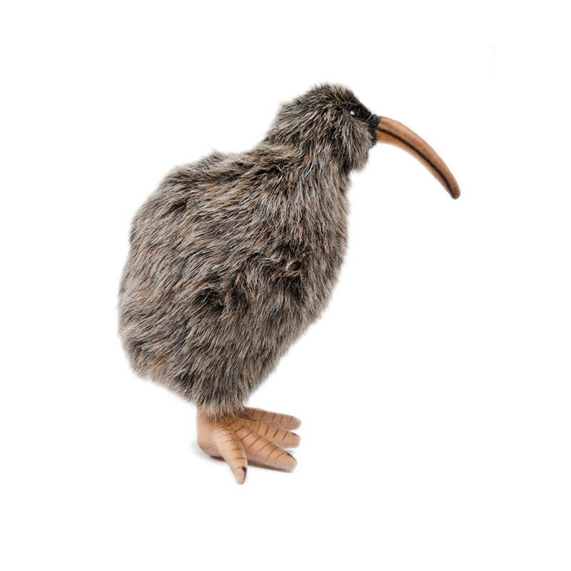 ǰ 
