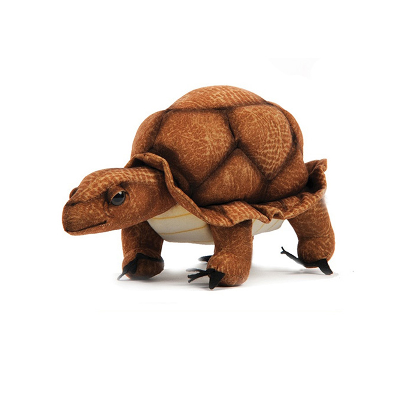 ǰ 