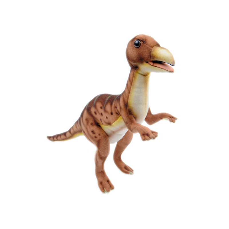 ǰ 