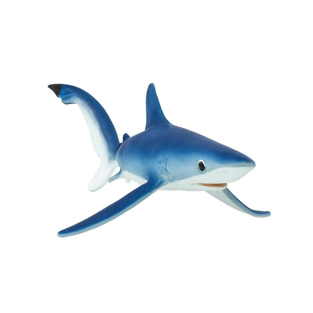ǰ 
