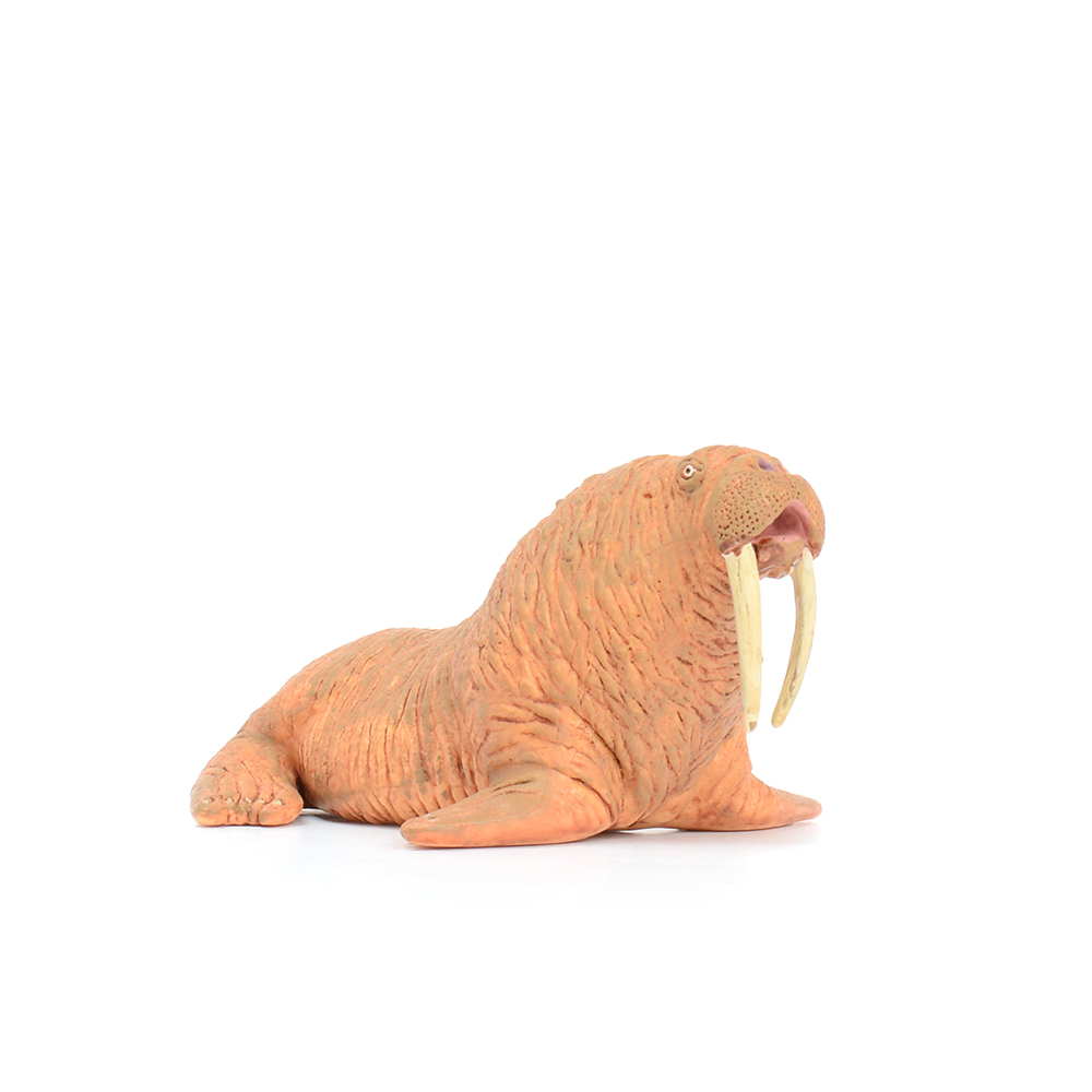 ǰ 