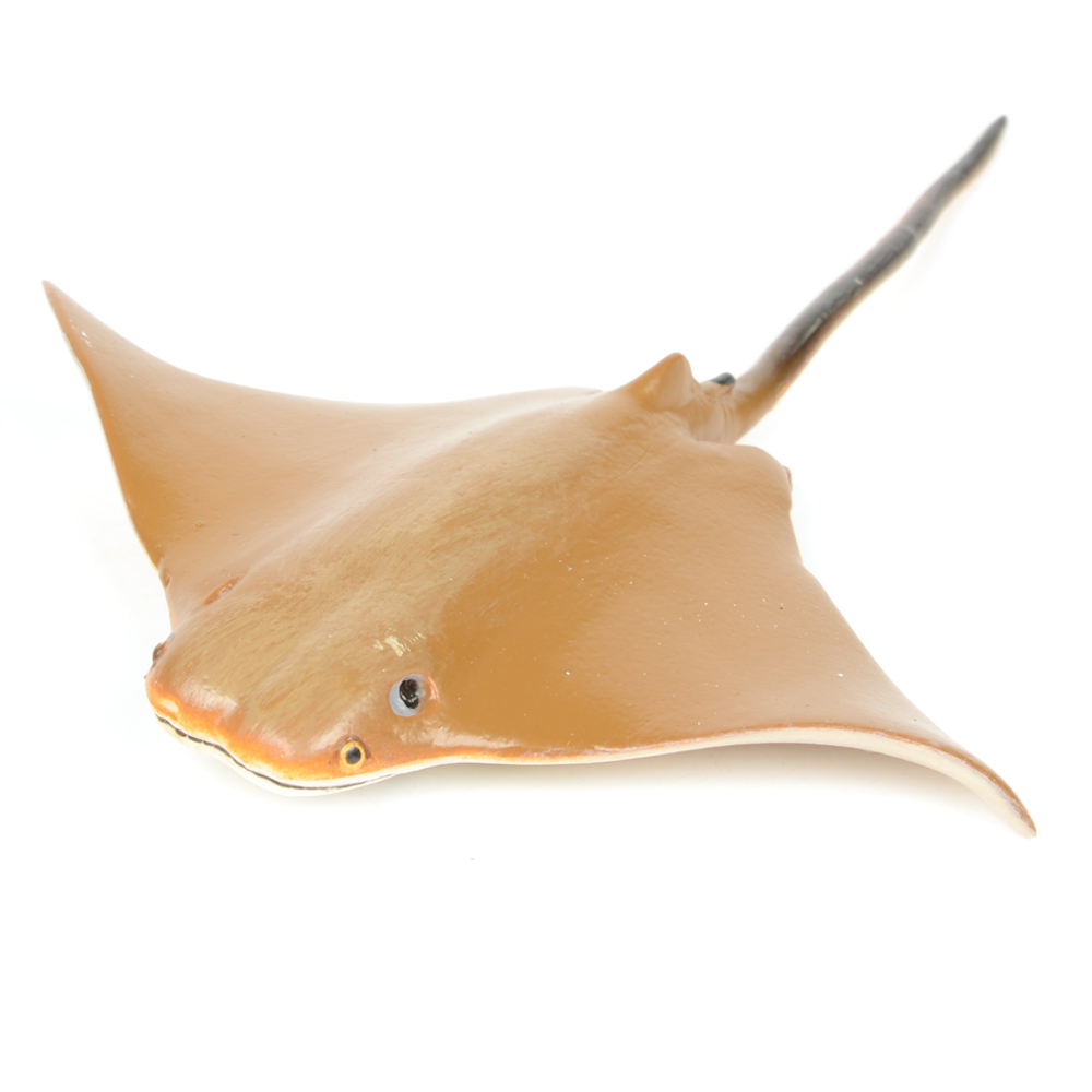 ǰ 