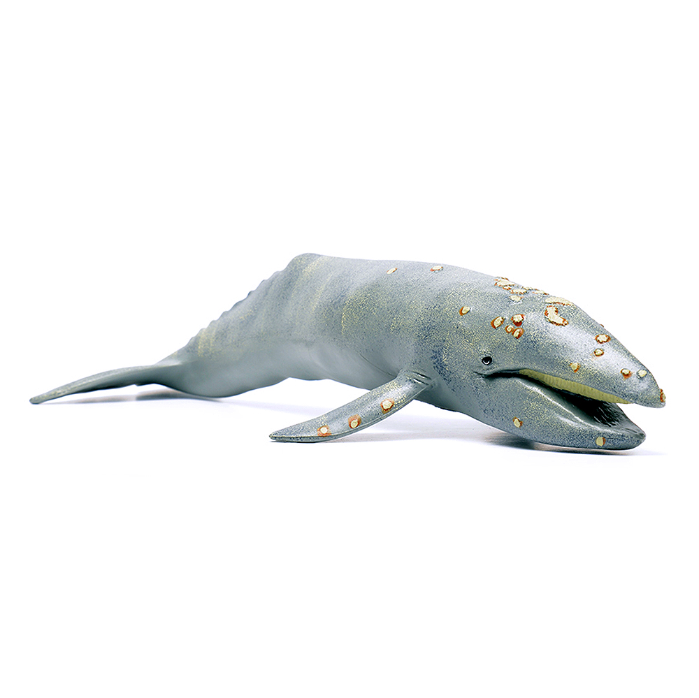 ǰ 