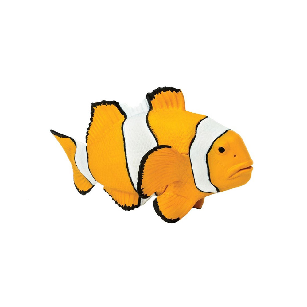ǰ 