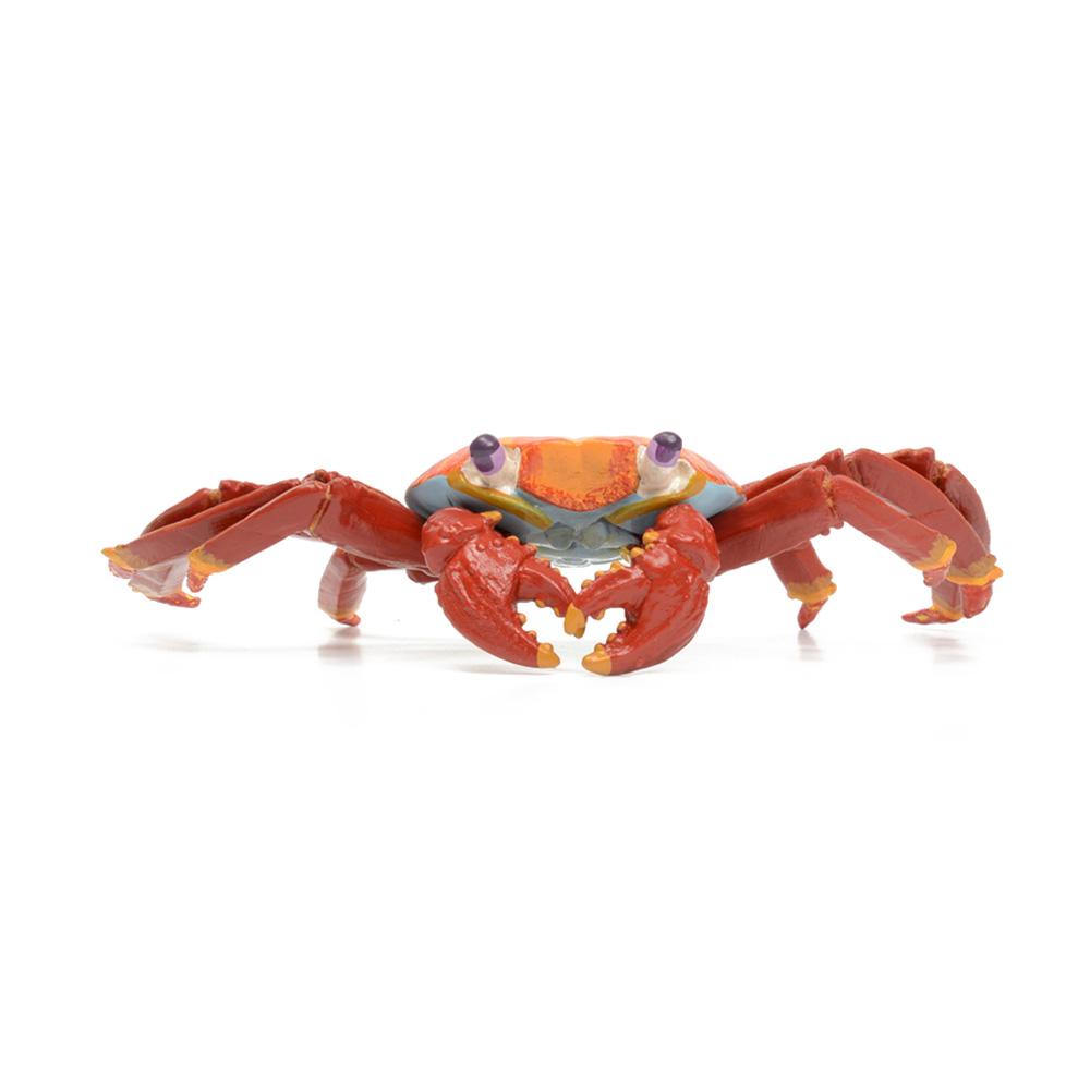 ǰ 