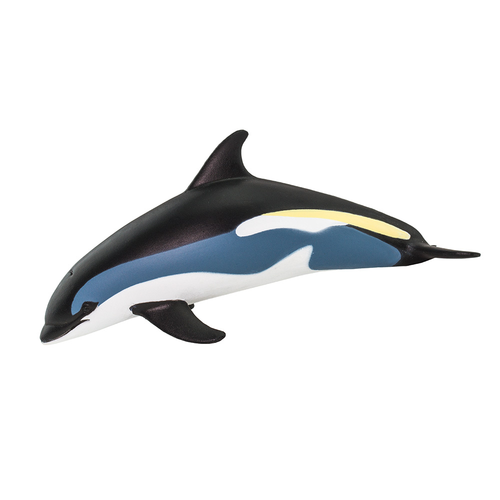 ǰ 
