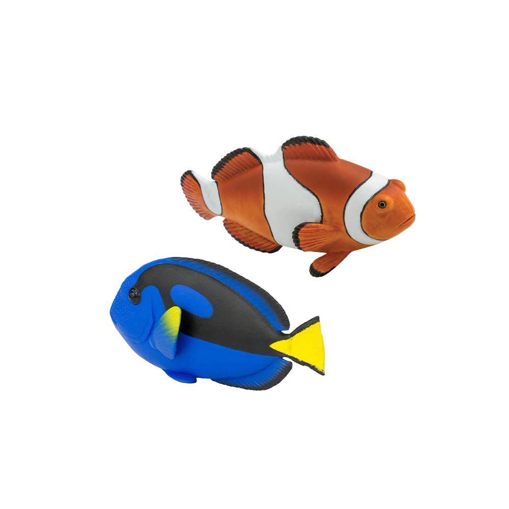 ǰ 