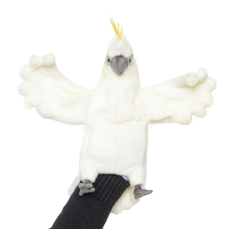 ǰ 